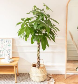 Interiorismo en Valencia