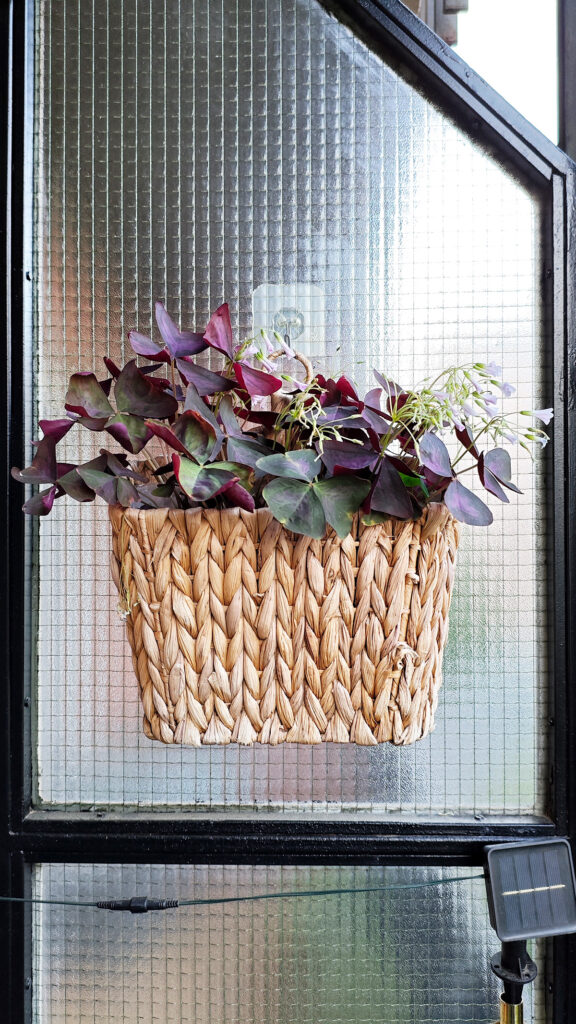 decorar-con-plantas-de-interior-macetas-pared