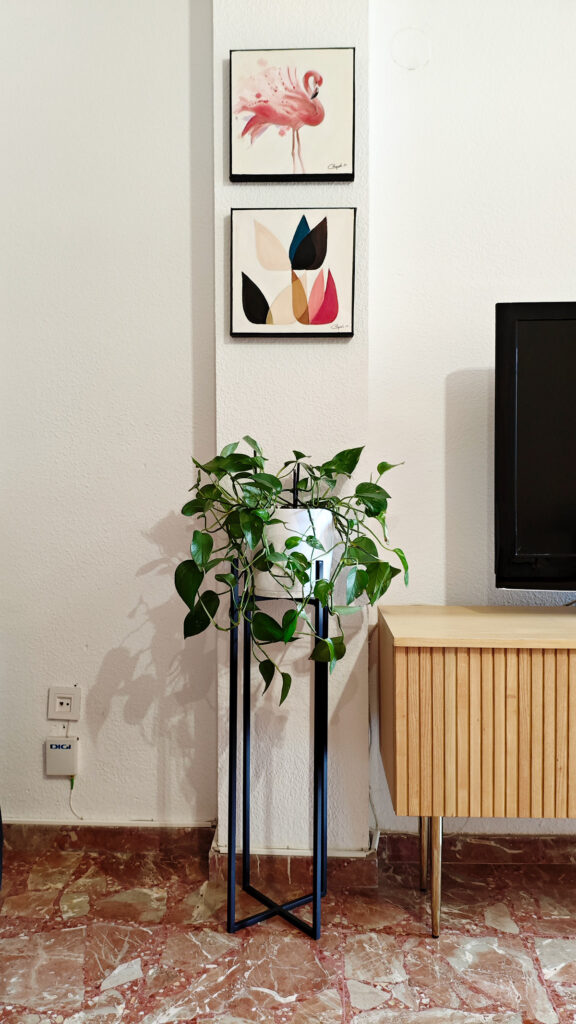 decorar-con-plantas-de-interior-soportes-plantas