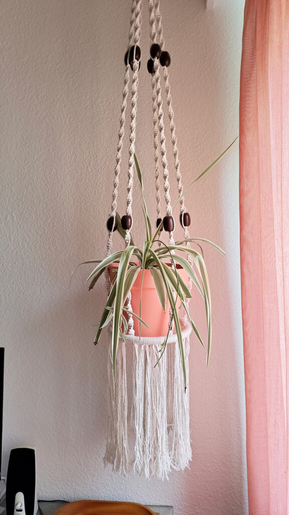 decorar-con-plantas-de-interior-macetas-colgantes