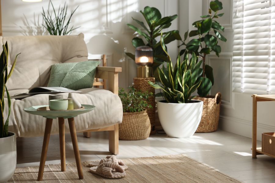 Interiorismo viviendas Valencia