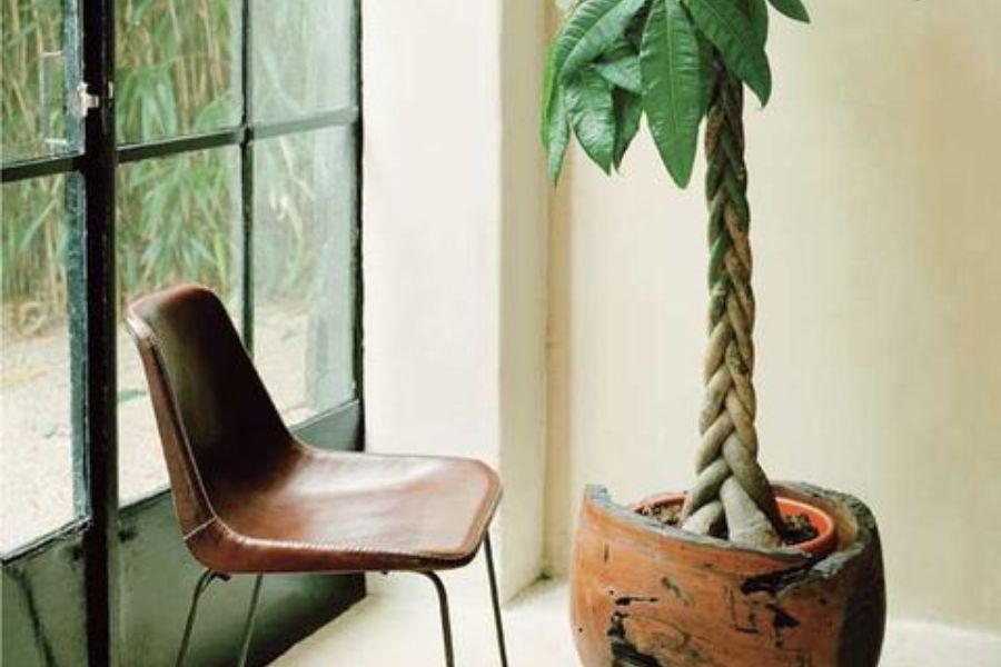 Interiorismo Valencia